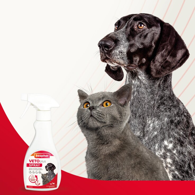 BEAPHAR VETOplus Spray, 250 ml