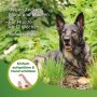 BEAPHAR Zecken- und Flohschutz Spray für Hunde, 150 ml