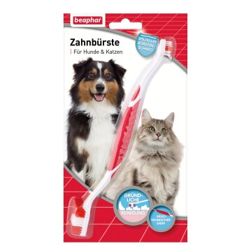 BEAPHAR Zahnb&uuml;rste f&uuml;r Hunde &amp; Katzen