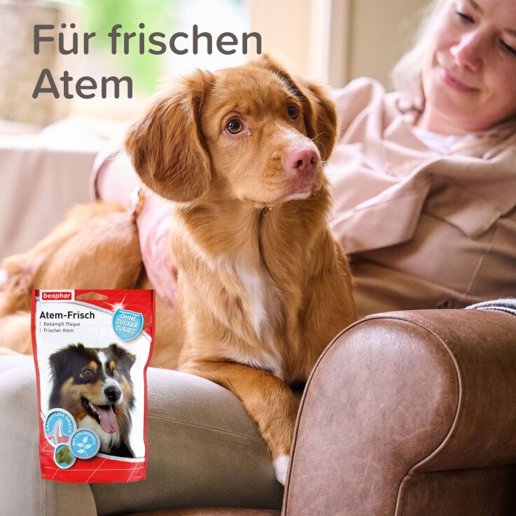 Hunde - Snack BEAPHAR Atem-Frisch, 150 g
