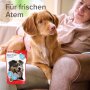 Hunde - Snack BEAPHAR Atem-Frisch, 150 g