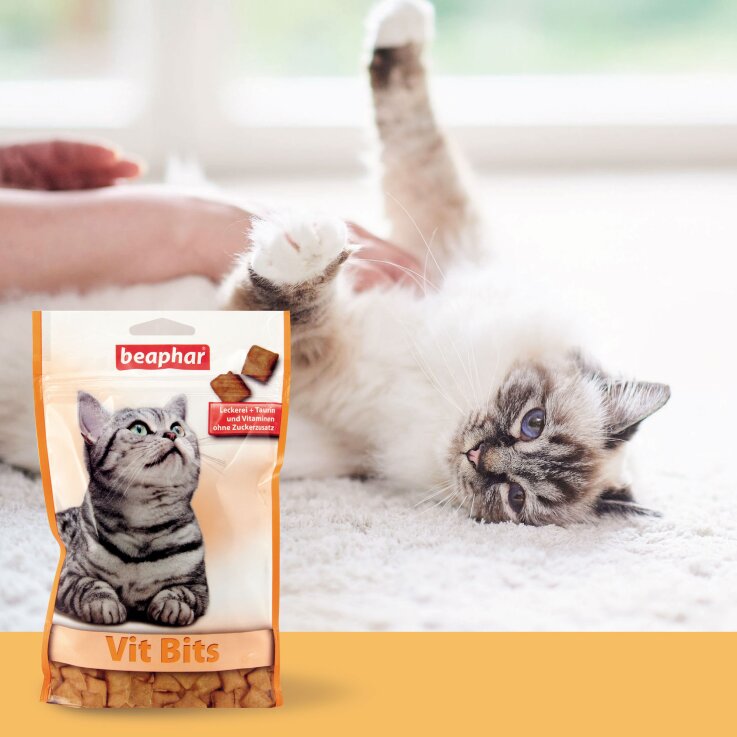 Katzen - Snacks BEAPHAR Vit Bits, 150 g
