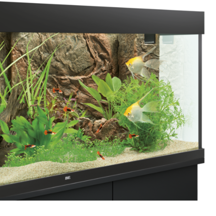 JUWEL Aquarium - Rückwand "Cliff Dark", 60 x 55 x 3 cm