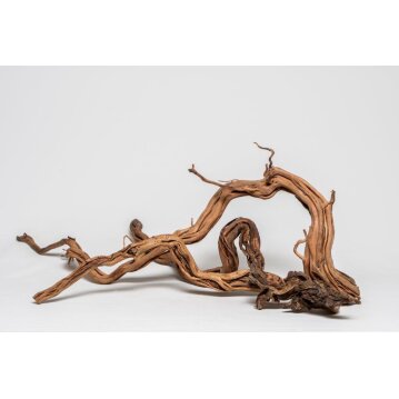 AQUADECO Curl Wood Stamm, ca. 30 - 60 cm, 1 Stk.