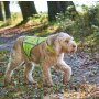 HUNTER Hunde-Warnweste, reflektierend, gelb, S,Hals: 28-42 cm, Bauch: 39-50 cm