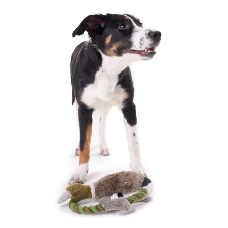 Hunter Hundespielzeug Wildlife, Training Duck, M 26 cm