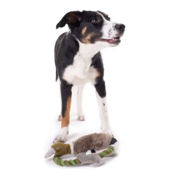 Hunter Hundespielzeug Wildlife, Training Duck, M 26 cm