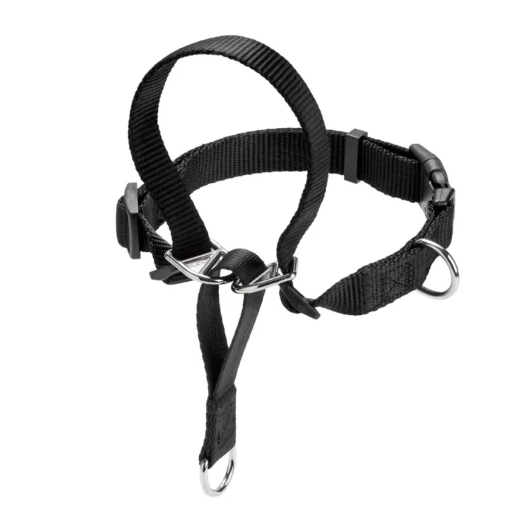 Hunter Ausbildungsgeschirr Follow Me, M