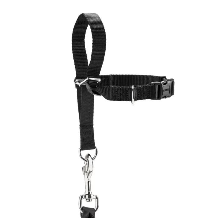 Hunter Ausbildungsgeschirr Follow Me, M