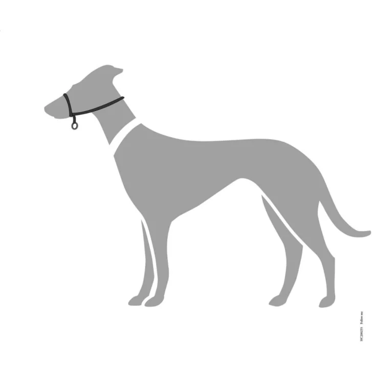 Hunter Ausbildungsgeschirr Follow Me, M
