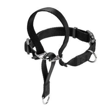 Hunter Ausbildungsgeschirr Follow Me, M