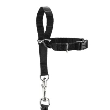 Hunter Ausbildungsgeschirr Follow Me, M