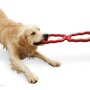KONG – Tug – Robuster, Dehnbarer Naturkautschuk, Zerrspielzeug – Für Mittelgroße Hunde