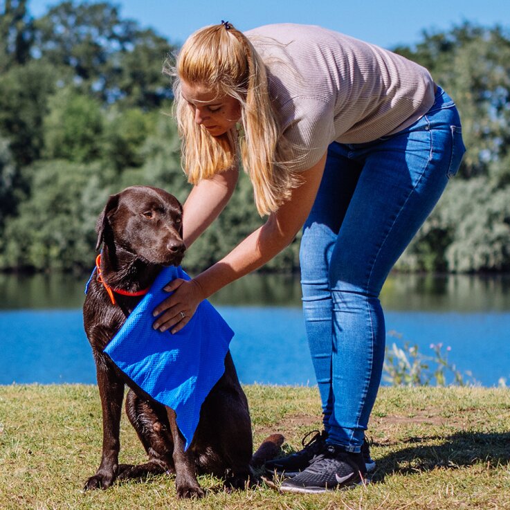 NOBBY Handtuch "SPEED DRY COMFORT", 66 x 43 cm