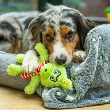 NOBBY Xmas Plüsch Grinch "Grimo"