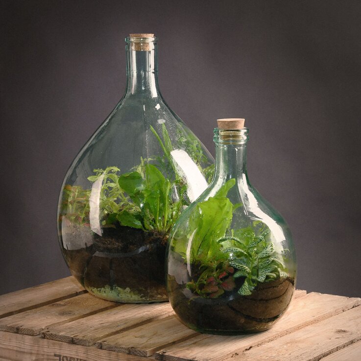 ESSCHERT DESIGN Terrarium-Pflanzgefäß mit Werkzeug