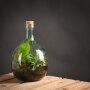 ESSCHERT DESIGN Terrarium-Pflanzgefäß mit Werkzeug