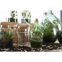ESSCHERT DESIGN Terrarium-Pflanzgefäß mit Werkzeug