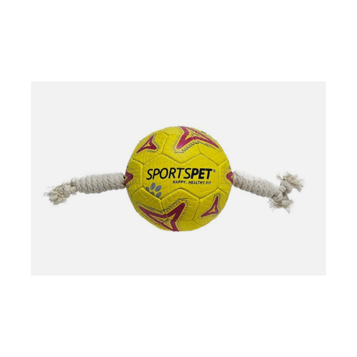 SPORTSPET Football für Hunde, S, Ø 18 cm