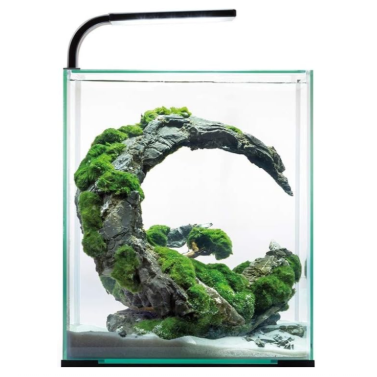 AQUAEL Nano-Aquarium "Shrimp Set Day & Night", 20 L