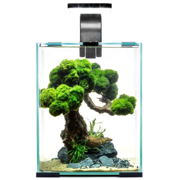 AQUAEL Nano-Aquarium "Shrimp Set Day &...