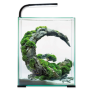 AQUAEL Nano-Aquarium "Shrimp Set Day & Night", 30 L