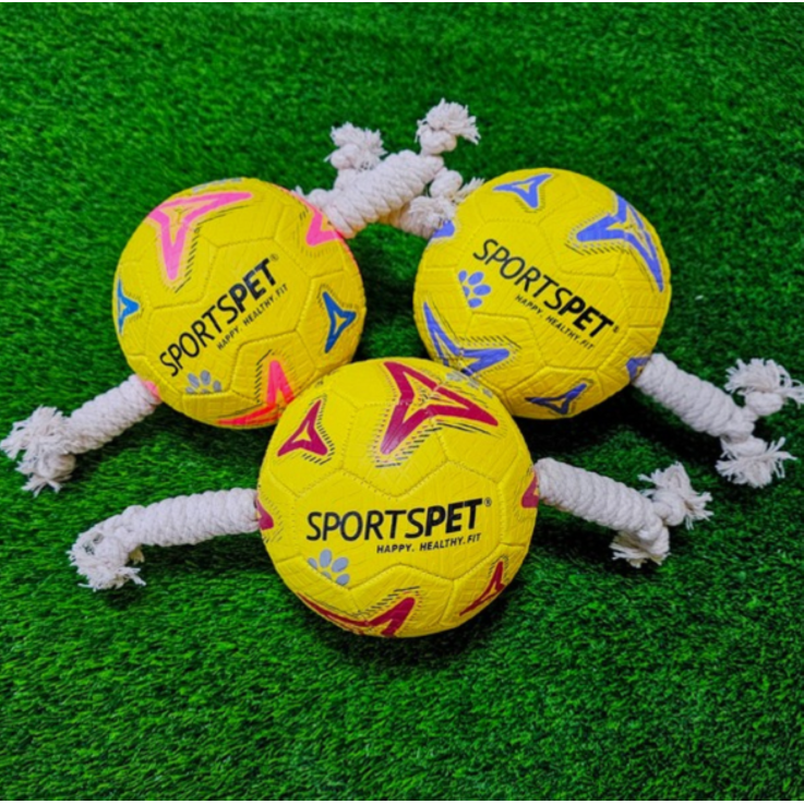 SPORTSPET Football für Hunde