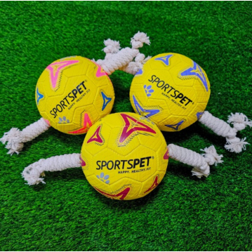 SPORTSPET Football für Hunde