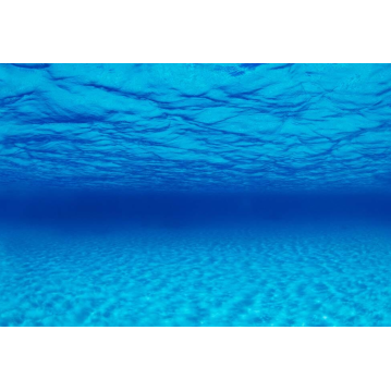 SEAVIEW Doppelseitiger Aquarien - R&uuml;ckwandposter...