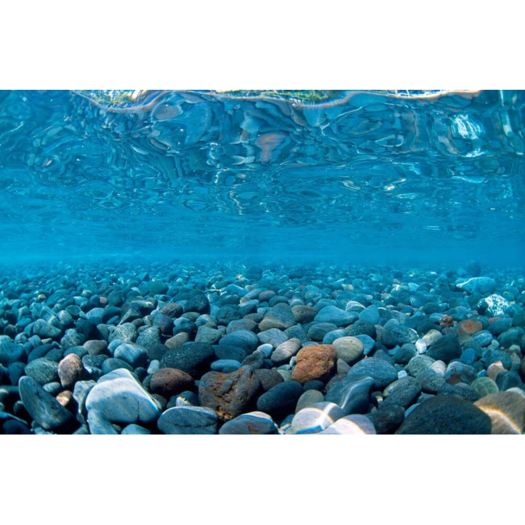 SEAVIEW Doppelseitiger Aquarien - Rückwandposter "River Rock / Sea of Green", H: 30,5 cm