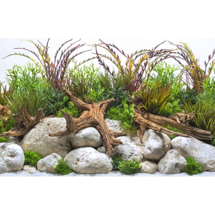 SEAVIEW Doppelseitiger Aquarien - Rückwandposter "Coastalhues / Crispriver ", H: 30,5 cm