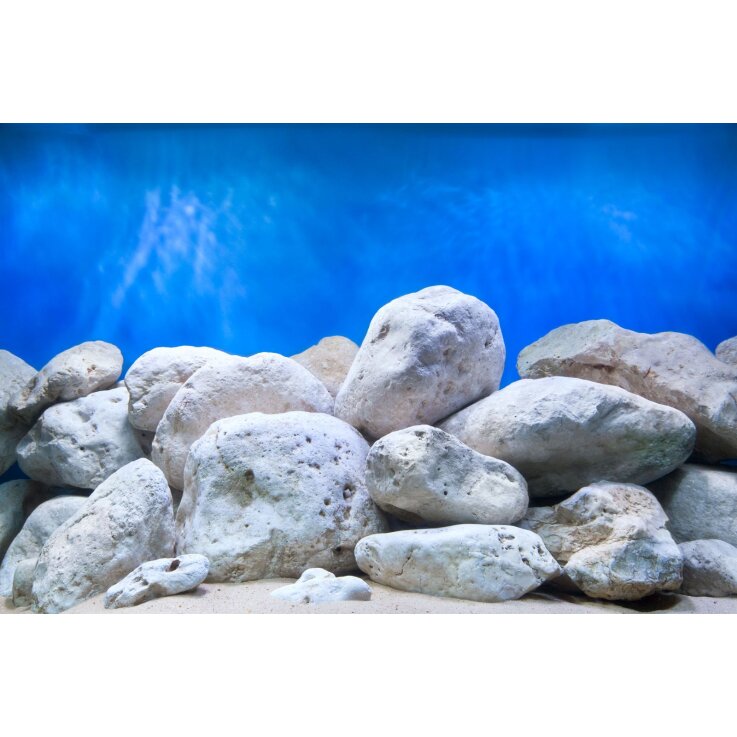 SEAVIEW Doppelseitiger Aquarien - Rückwandposter "Aquagarden / Brightstone ", H: 30,5 cm