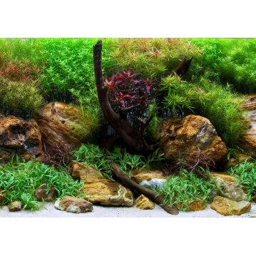 SEAVIEW Doppelseitiger Aquarien - R&uuml;ckwandposter...