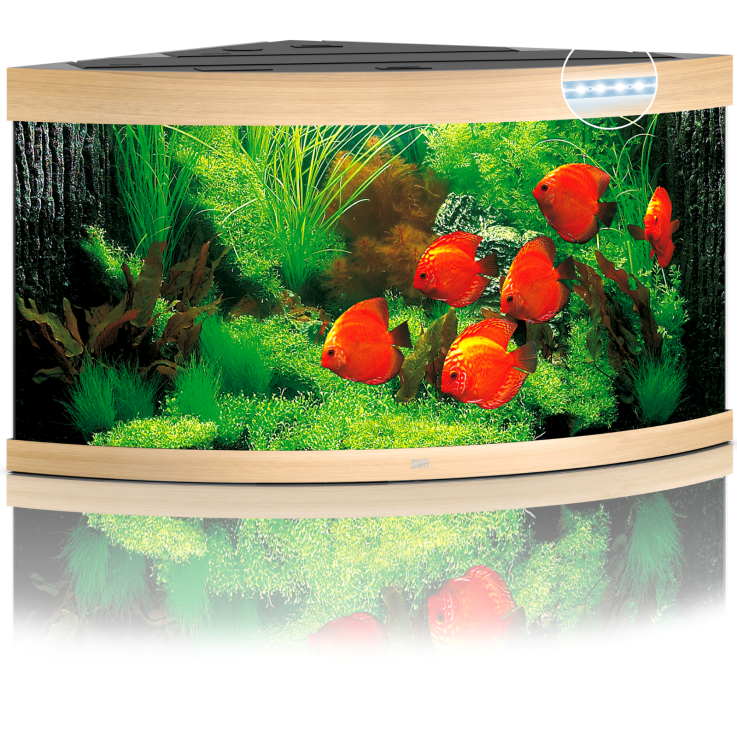 JUWEL Aquarium Trigon 350 inkl. LED-Beleuchtung, Pumpe, Filter und Heizer, helles Holz