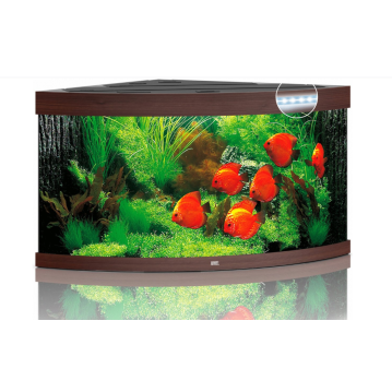 JUWEL Aquarium Trigon 350 inkl. LED-Beleuchtung, Pumpe,...