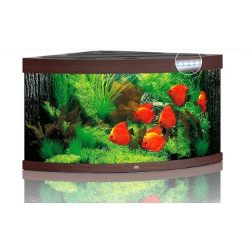 JUWEL Aquarium Trigon 350 inkl. LED-Beleuchtung, Pumpe,...