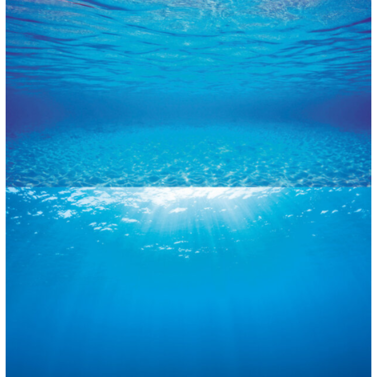 JUWEL Aquarium - Rückwandposter 2