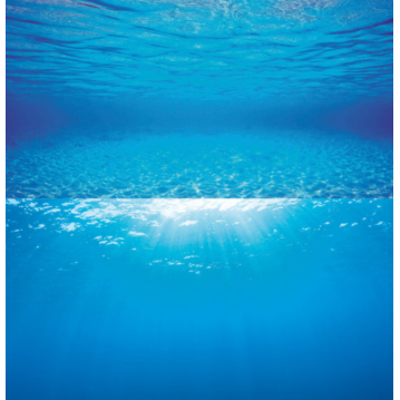 JUWEL Aquarium - Rückwandposter 2
