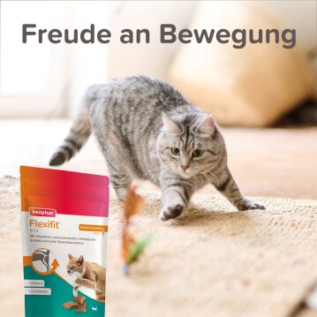 Katzen - Snacks BEAPHAR Flexifit® Bits, 150 g