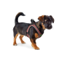 HUNTER Hunde-Geschirr Hilo Comfort, S-M, altrosa