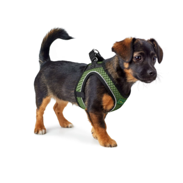HUNTER Hunde-Geschirr Hilo Comfort, M-L, lindgrün