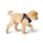 HUNTER Hunde-Geschirr Hilo Comfort, M, anthrazit