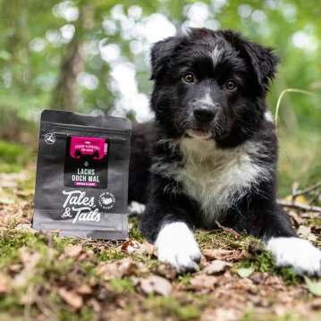 Hunde - Leckerli TALES & TAILS "Lachs doch...