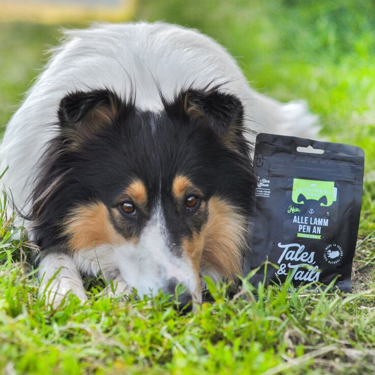 Hunde - Leckerli TALES & TAILS "Alle LammPen an", 250 g