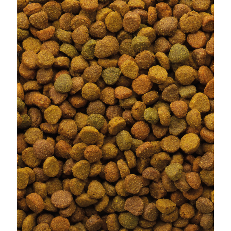 Katzen - Trockenfutter VERSELE-LAGA Variety, 10 kg