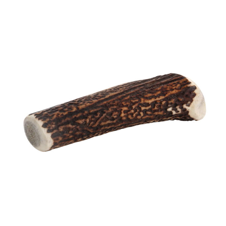 Hunde - Kauartikel CHEWIES Rothirsch-Geweihstange ganz