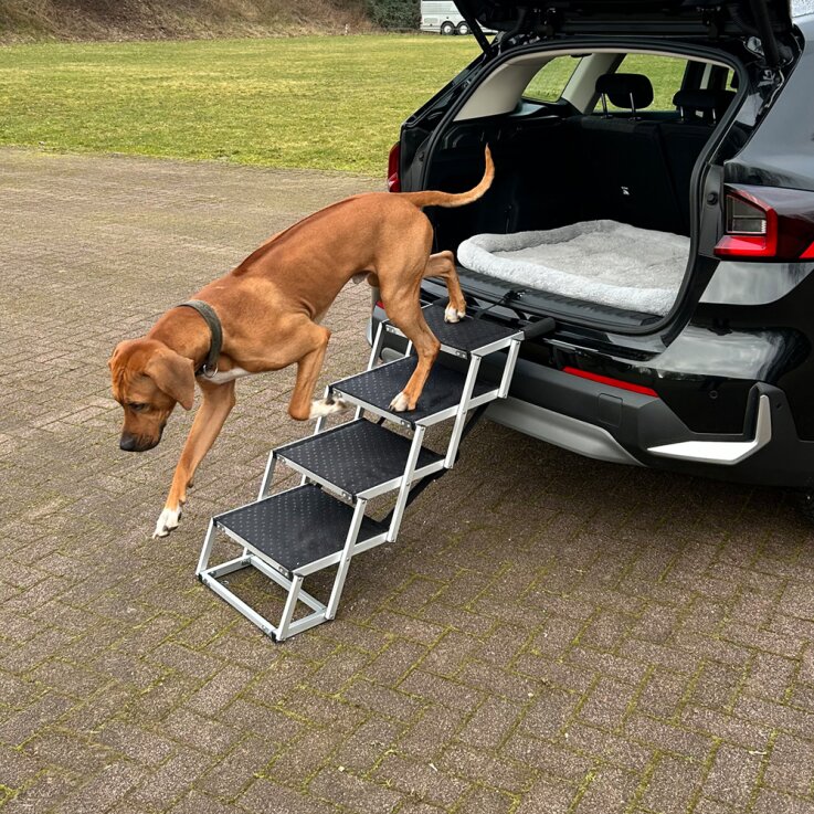 NOBBY Aluminium Falt-Treppe für Hunde, 4-stufig