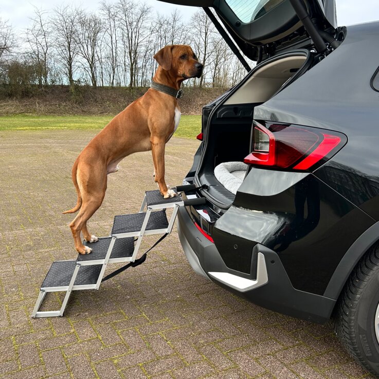 NOBBY Aluminium Falt-Treppe für Hunde, 4-stufig