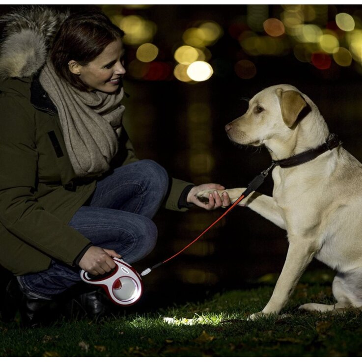 FLEXI LED Lighting System, schwarz