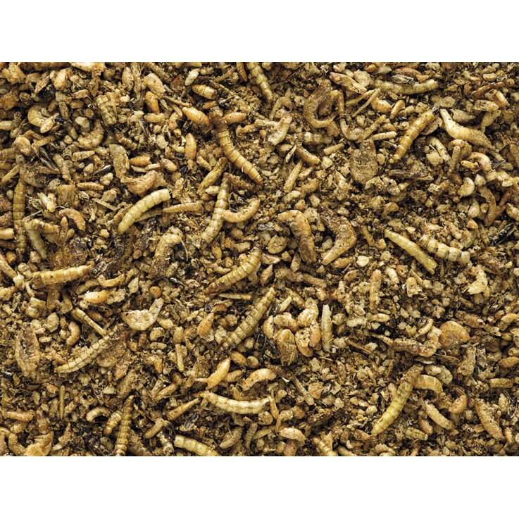 VERSELE LAGA NutriBird Insekt patee Premium